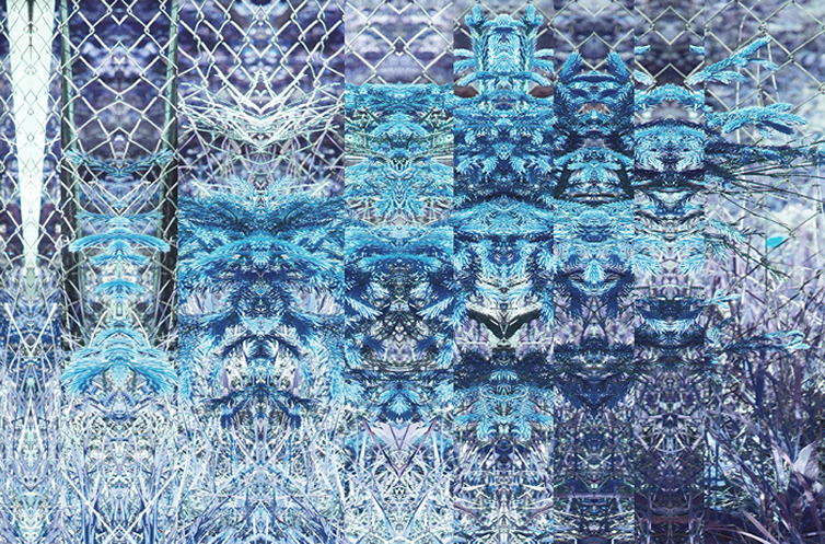 ann frossen print